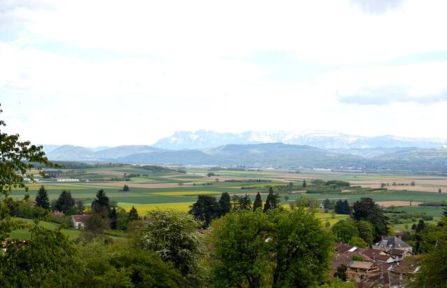 Collines au sud de Saint-Hilaire