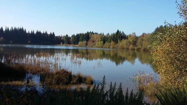 L'Etang de la Digone