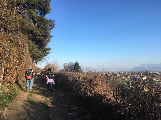 Rando douce entre la Frette et Saint Hilaire