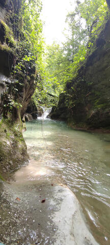 Les Gorges du Gorgonnet à REVON