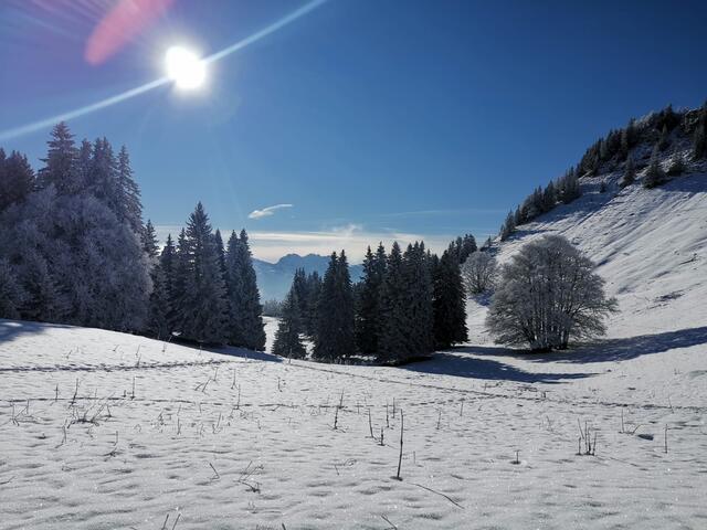 Plateau de La Molière depuis les Aigaux