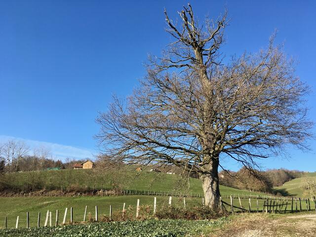 Randosanté à saint Hilaire