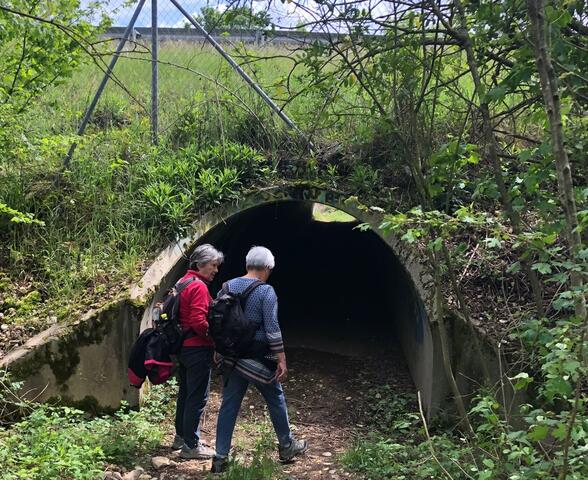 rando relax en passant sous l'axe de Bièvre