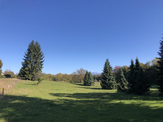 Entre Réaumont et Saint-Cassien
