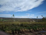 dans les bois de gourand