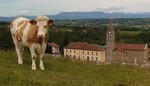 Biol le Haut