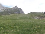 LE GOUTAROUX ( Trieves)