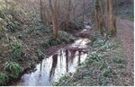 Le long du Ri D'Olon